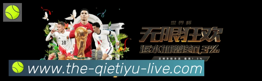 奖项4